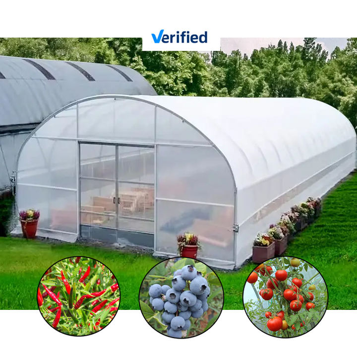 low cost Commercial Farming plastic green house metal frame structure Single Span high tunnel agriculture greenhouse for plants