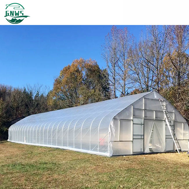 low cost Single-span Polytunnel Greenhouse single span tunnel vegetable greenhouse green house used for sale