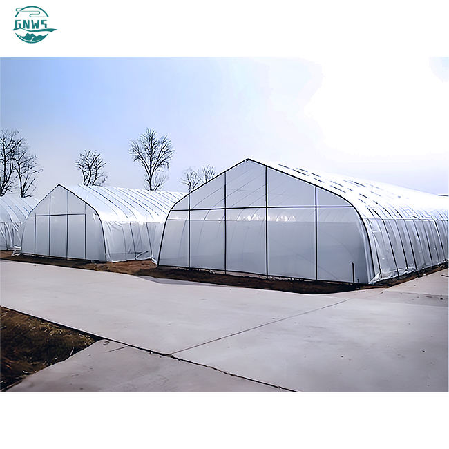 low cost hot sale polytunnel berry pe film single-span tunnel greenhouse agriculture china custom green house for planting