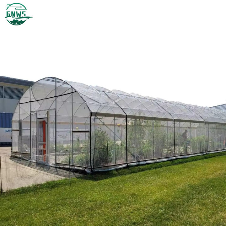 low cost hot sale polytunnel berry pe film single-span tunnel greenhouse agriculture china custom green house for planting