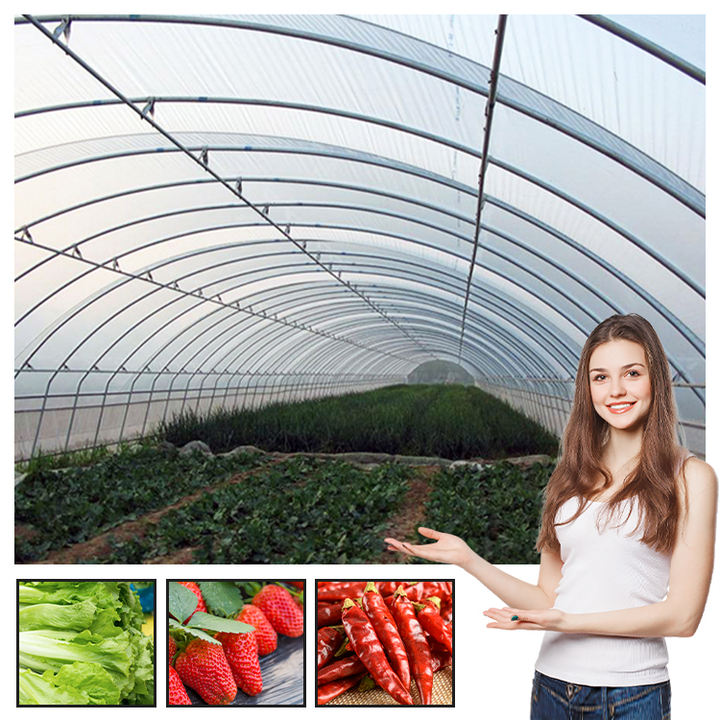 Low cost plastic poly film tunnel grow vegetable greenhouse frame single-span high tunnel agriculture greenhouse for sale Efficient Manufacturing Outlet