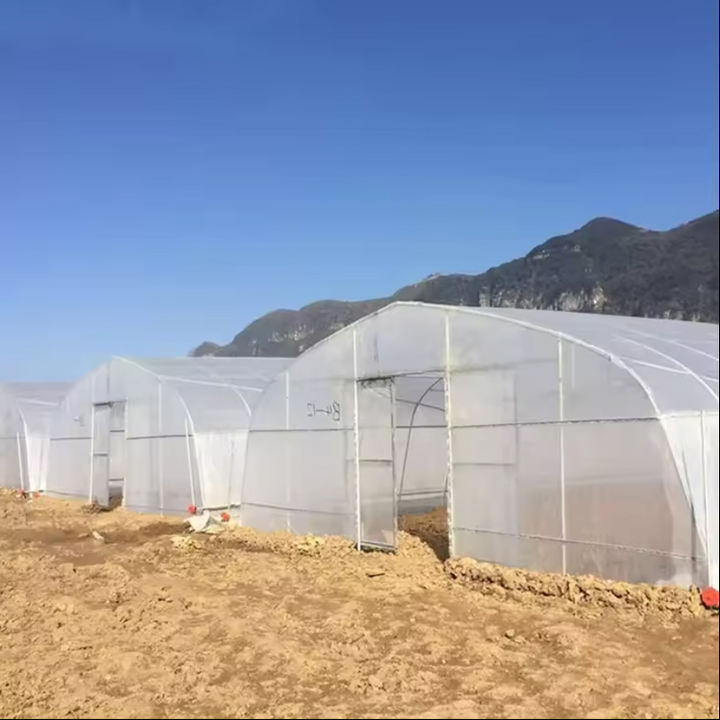 Low cost plastic poly film tunnel grow vegetable greenhouse frame single-span high tunnel agriculture greenhouse for sale Efficient Manufacturing Outlet