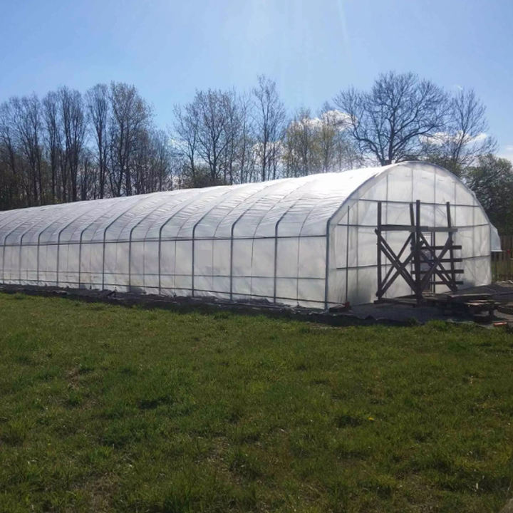 Low cost plastic poly film tunnel grow vegetable greenhouse frame single-span high tunnel agriculture greenhouse for sale Efficient Manufacturing Outlet