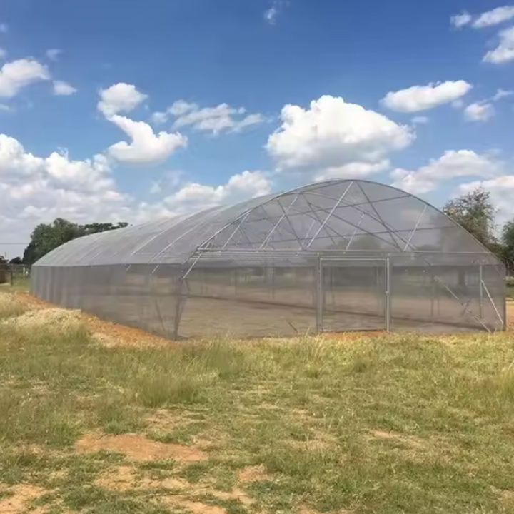 Low cost plastic poly film tunnel grow vegetable greenhouse frame single-span high tunnel agriculture greenhouse for sale Efficient Manufacturing Outlet