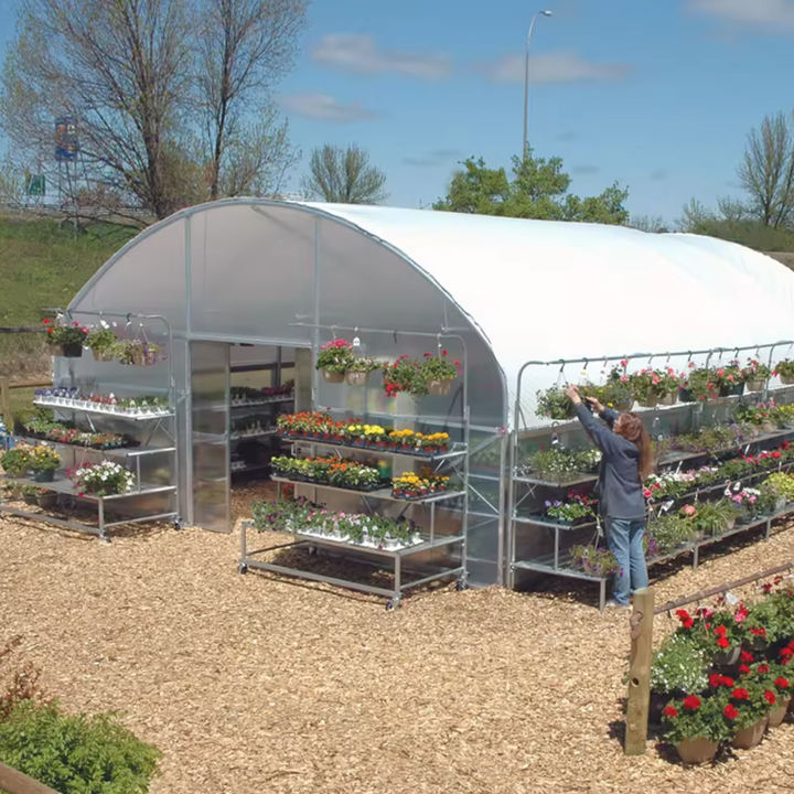 Low cost plastic poly film tunnel grow vegetable greenhouse frame single-span high tunnel agriculture greenhouse for sale Efficient Manufacturing Outlet