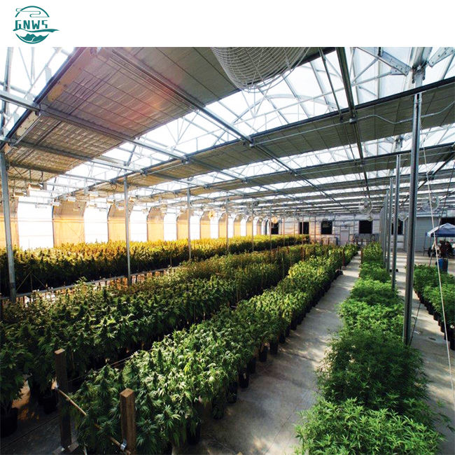 Low cost purchase of greenhouse for sale Pe greenhouse price polycarbonate single span shading greenhouse Quality Manufacturing Innovation