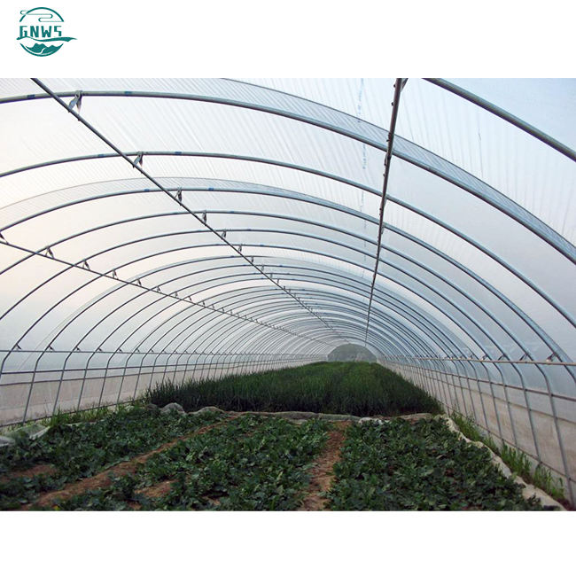 low cost single layer outdoor single-span protect insect proof mesh pe film agriculture low cost tunnel greenhouse steel frame