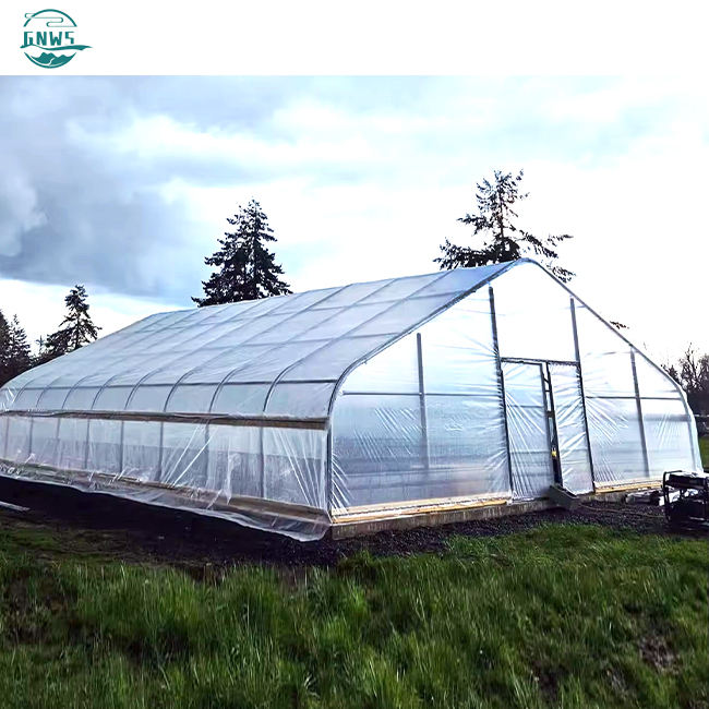 low cost single layer outdoor single-span protect insect proof mesh pe film agriculture low cost tunnel greenhouse steel frame