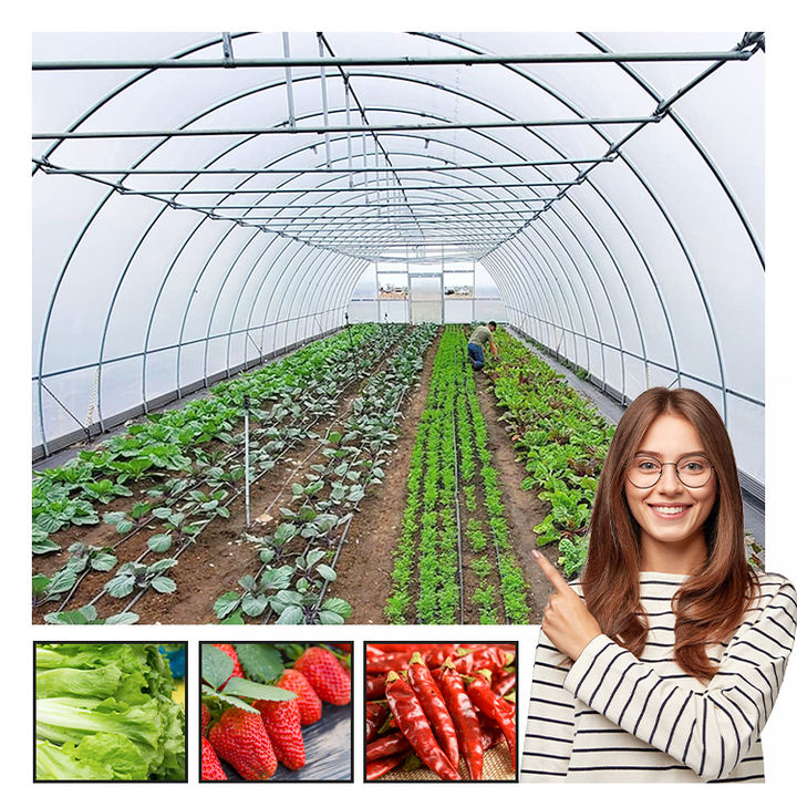 Manufacturing orangery cooling system house metal frame film smart tomato vegetables growing cheap agricultural greenhouse Bulk Manufacturing