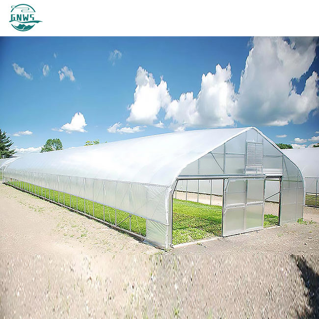 Manufacturing orangery cooling system house metal frame film smart tomato vegetables growing cheap agricultural greenhouse Bulk Manufacturing