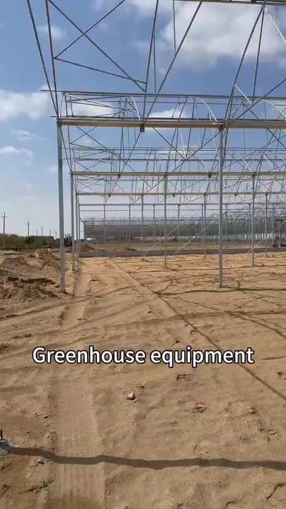 multi span film greenhouse grow vegetables commercial modern seedlings vegetables flowers  multi span greenhouse