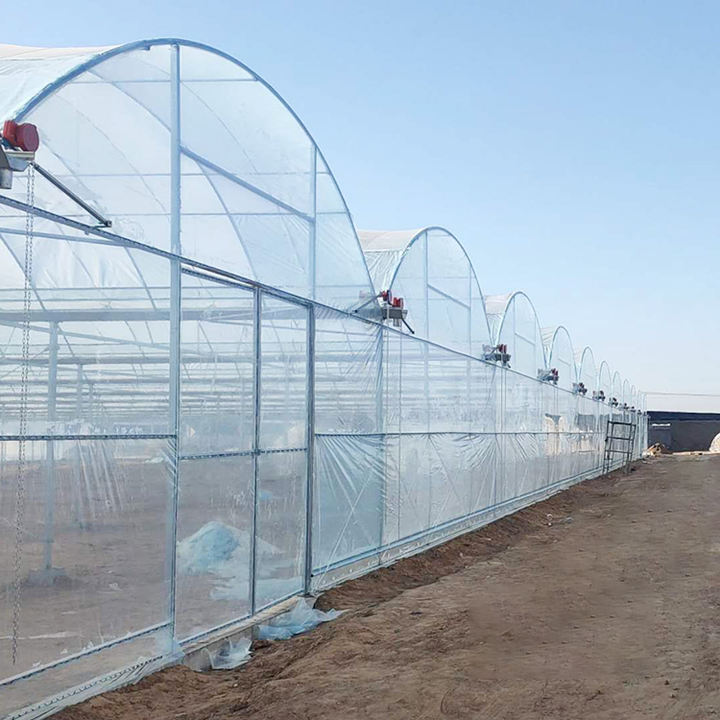 multi span film greenhouse grow vegetables commercial modern seedlings vegetables flowers  multi span greenhouse