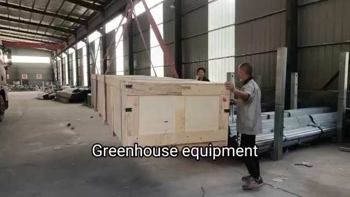 multi span film greenhouse structure commercial  Tomato Hydroponics Greenhouse agricultural greenhouse