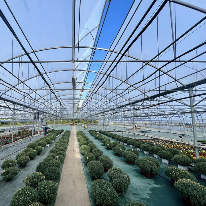 multi span film nigeria vegetable greenhouse structure commercial used frames Large Plants Growing High Tunnel greenhouse