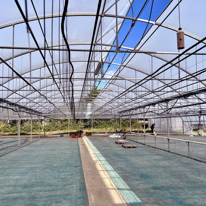 multi span film nigeria vegetable greenhouse structure commercial used frames Large Plants Growing High Tunnel greenhouse