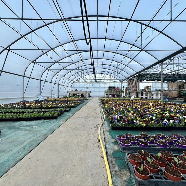 multi span film nigeria vegetable greenhouse structure commercial used frames Large Plants Growing High Tunnel greenhouse