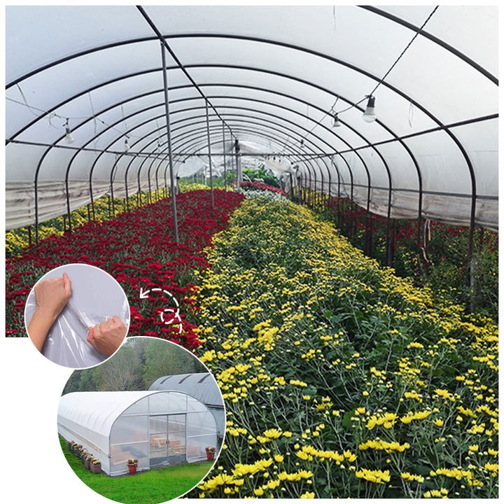 Planting tomato strawberry hydroponic tanzania buy mushroom frame plastic film poultry agriculture tunnel greenhouse for sale Direct from Factory