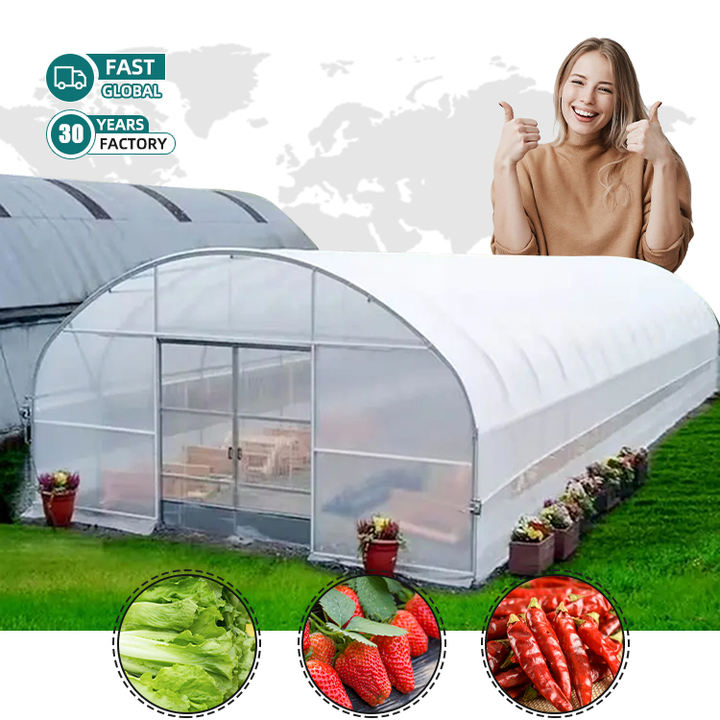 Plastic poly film high  tunnel grow vegetable strawberry low cost hydroponic automated aquaponics green house for plants Custom Manufacturing