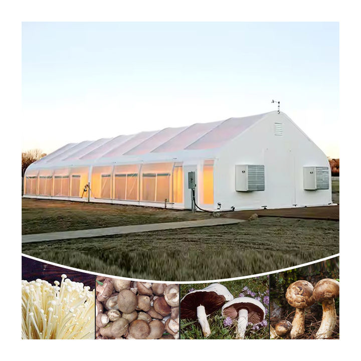 Power greenhouse 3gp king led grow light Mushroom cultivation Polycarbonate Light Deprivation Blackout Greenhouse For Sale Global Trade Manufacturing