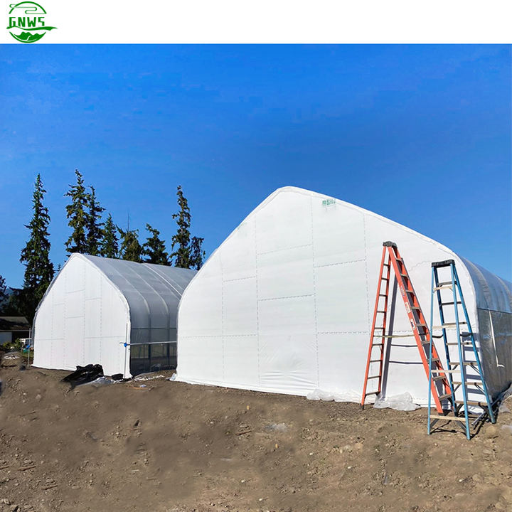 Sale insulated blackout green houses agricultural plastic poly tunnel tomato smart greenhouse frame manufacturer Industrial Wholesale