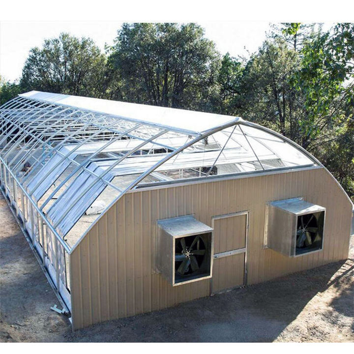 Sale insulated blackout green houses agricultural plastic poly tunnel tomato smart greenhouse frame manufacturer Industrial Wholesale