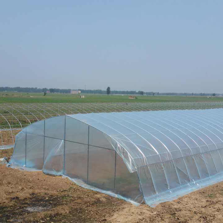 Saudi arabia turnkey project with quick construction film tunnel horticultural single span hydroponic agricultural greenhouse Mass Wholesale
