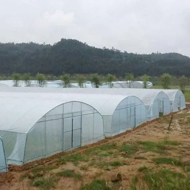 Saudi arabia turnkey project with quick construction film tunnel horticultural single span hydroponic agricultural greenhouse Mass Wholesale