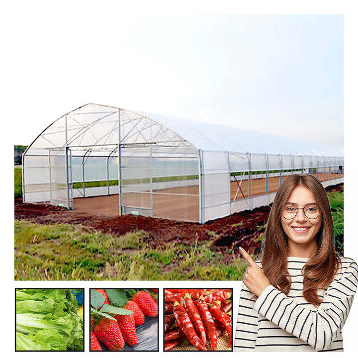 Stainless steel melon snail pine polyethylene polyethylene melon roof ventilation cold frame clear greenhouses wholesale Factory Pricing