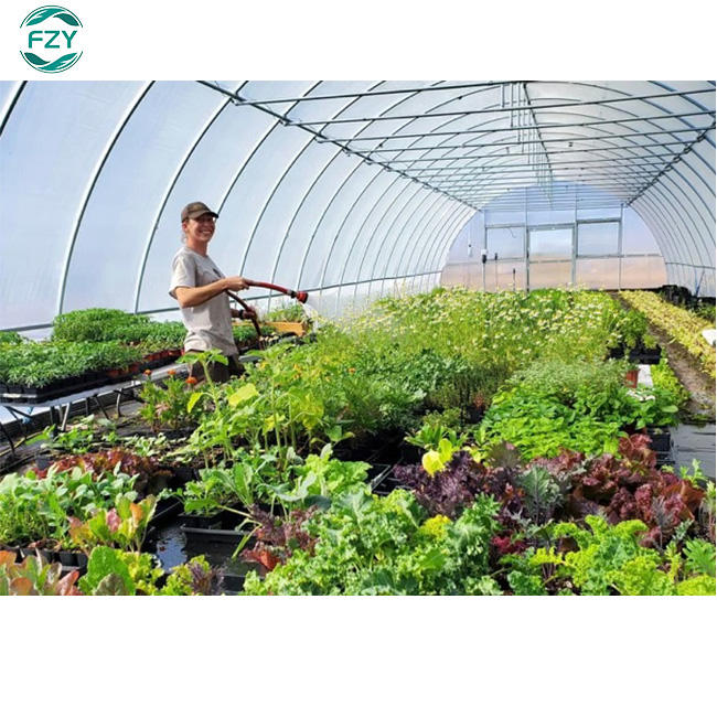 Supplies winter  snail farming aluminum green house metal frame Vegetable Tunnel greenhousesagriculture greenhouse kit Discount Factory