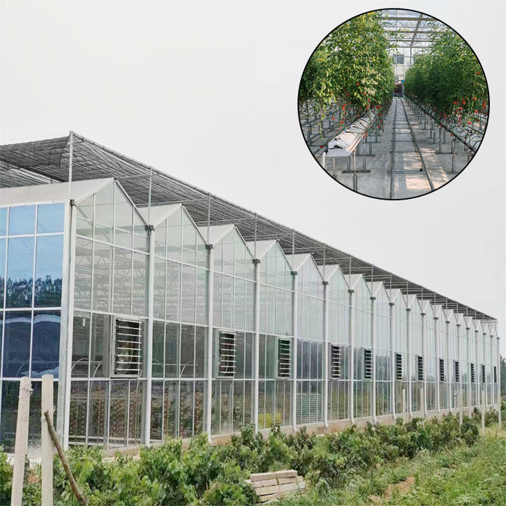 Tomato planting Commercial polycarbonate Green House metal frame glass Greenhouse Agricultural Greenhouses For Sale China Factory Supply