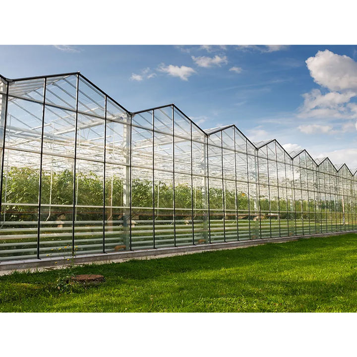 Tomato planting Commercial polycarbonate Green House metal frame glass Greenhouse Agricultural Greenhouses For Sale China Factory Supply