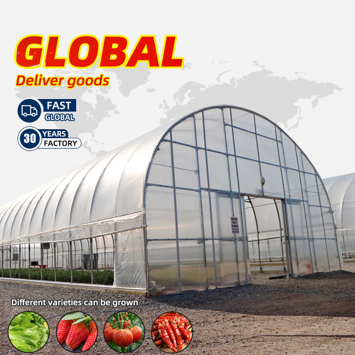 towards agriculture complete greenhouse plastic film Economic Tunnel Plastic Greenhouse for Vegetable