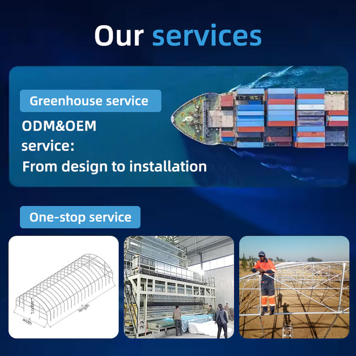 Turnkey project china custom flowers hydroponic plastic film vegetables tomato single span galvanized small tunnel greenhouse Factory Pricing Export