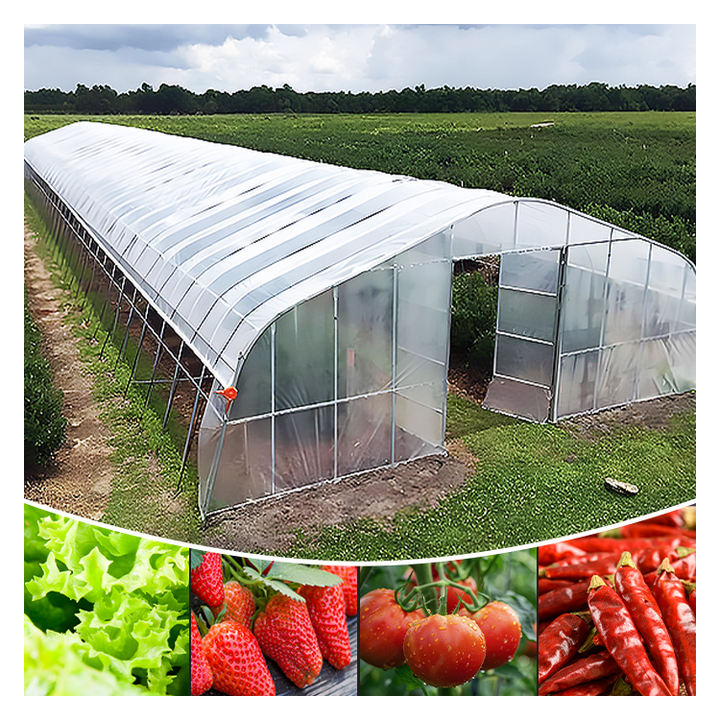 turnkey project with quick construction agricultural greenhouses equipment prefab tunnel strawberry greenhouses  kit