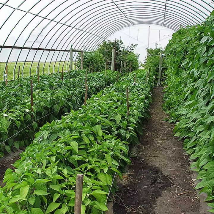 turnkey project with quick construction agricultural greenhouses equipment prefab tunnel strawberry greenhouses  kit