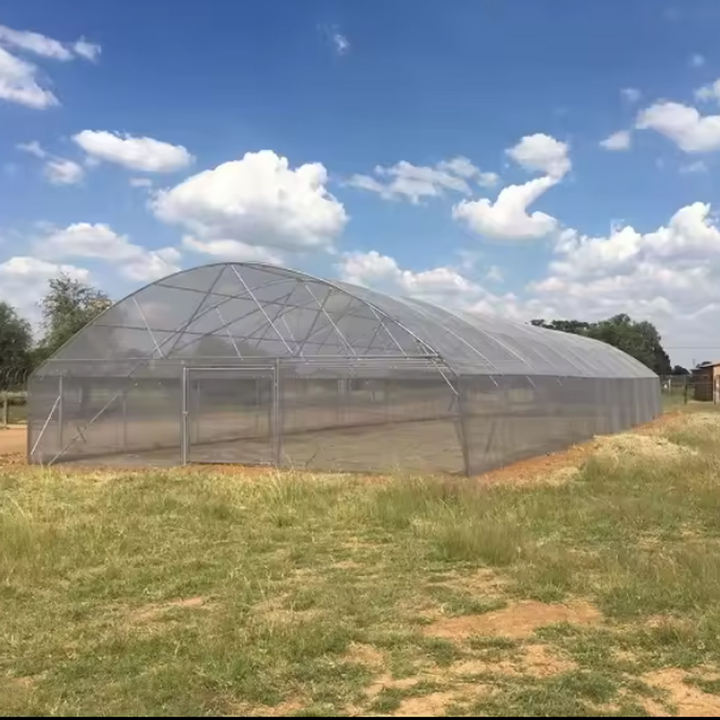 turnkey project with quick construction agricultural greenhouses equipment prefab tunnel strawberry greenhouses  kit