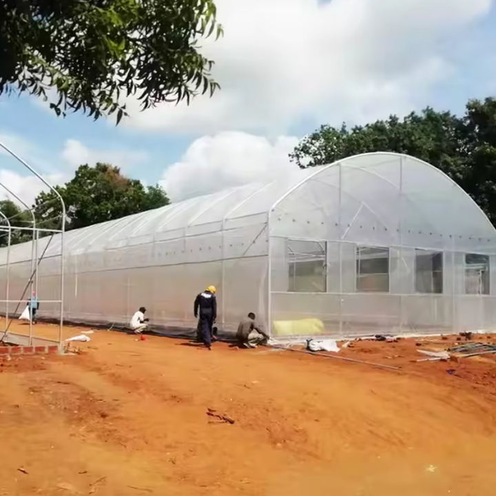 turnkey project with quick construction agricultural greenhouses equipment prefab tunnel strawberry greenhouses  kit