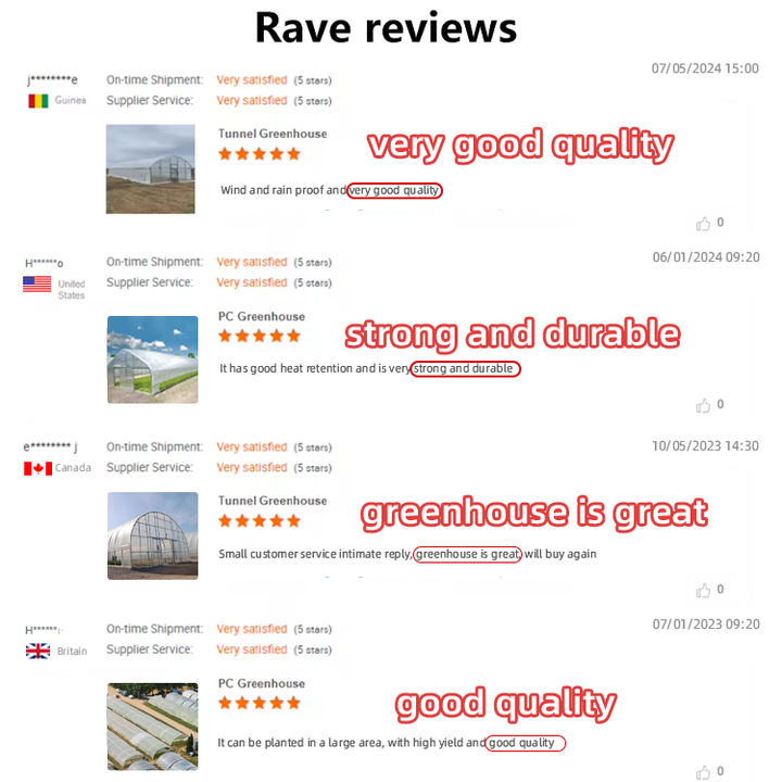Vegetable planting greenhouse hot dip galvanized plant growing Single span cover film tunnel greenhouse shed Competitive Manufacturing Pricing