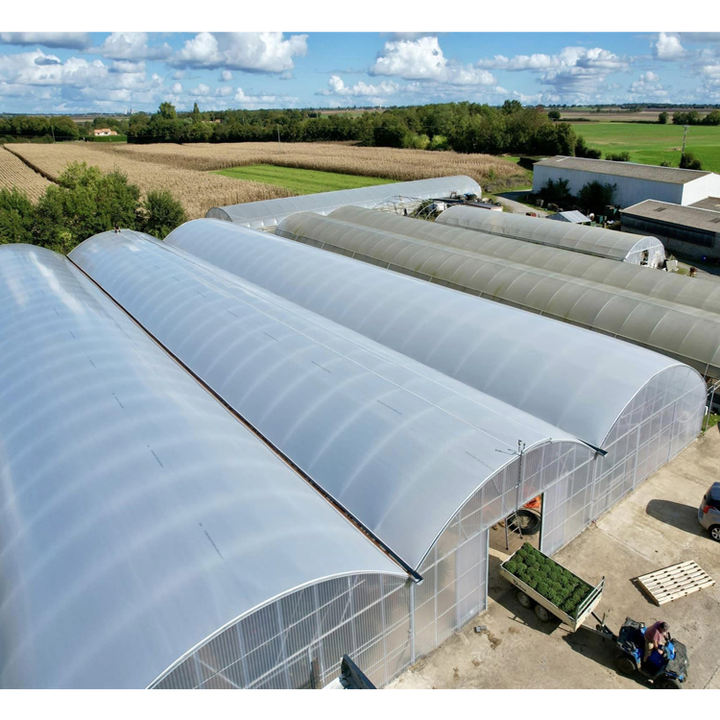 Victorian tomato outil greenhouse kit solar smart luxury industrial polycarbonate greenhouses vegetable green farm house Quality Manufacturing Innovation