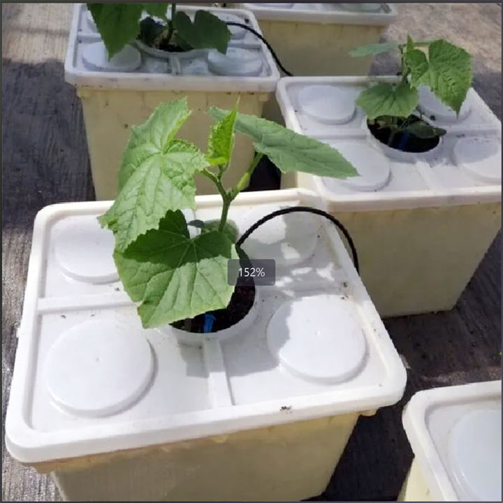 Aeroponics Garden Greenhouse 5 Pcs 5 Gallon Buckets  Equipment Dwc Growing Systems Kits Complete Hydroponics System