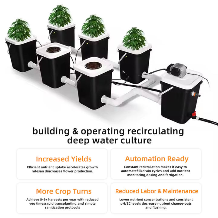 Agricultural greenhouse  dutch bucket hydroponics vertical garden dutch bucket Hydroponic Growing System Kits