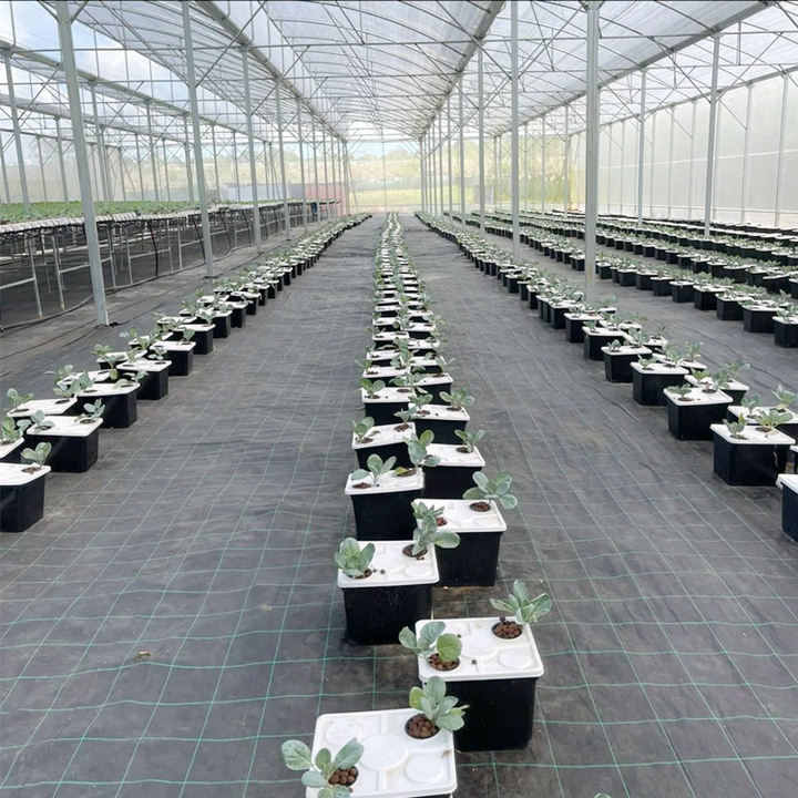 Agriculture  Aeroponic Growing Farming Fodder Vertical Grow Dwc Hydroponic Dutch Bucket System Price For Sale Mass Production