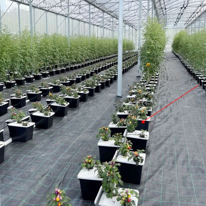 Agriculture  Aeroponic Growing Farming Fodder Vertical Grow Dwc Hydroponic Dutch Bucket System Price For Sale Mass Production