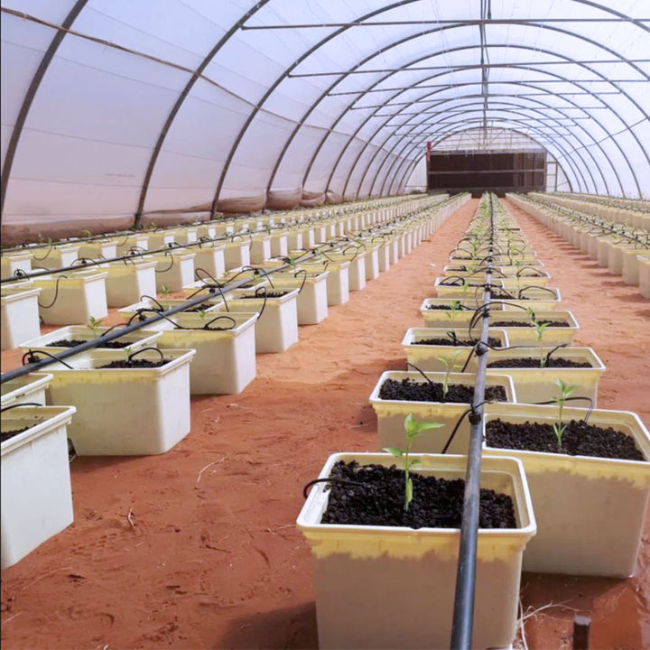 Agriculture  Aeroponic Growing Farming Fodder Vertical Grow Dwc Hydroponic Dutch Bucket System Price For Sale Mass Production