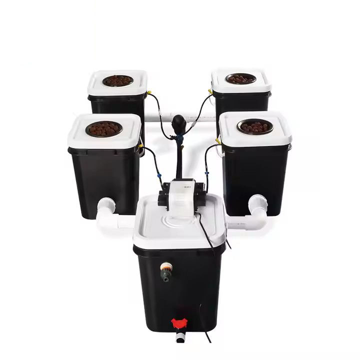 Complete  Agricultural Equipment Hydroponic Greenhouse System Suppliers Dutch Bucket Hydroponics growing System Export Manufacturing Operations
