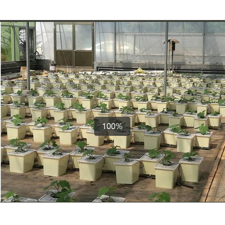Dutch Flower Bucket Plant Pot Hydroponic Dutch Bucket System With Hydroponics For Turnkey Project Green House Factory Pricing Supply
