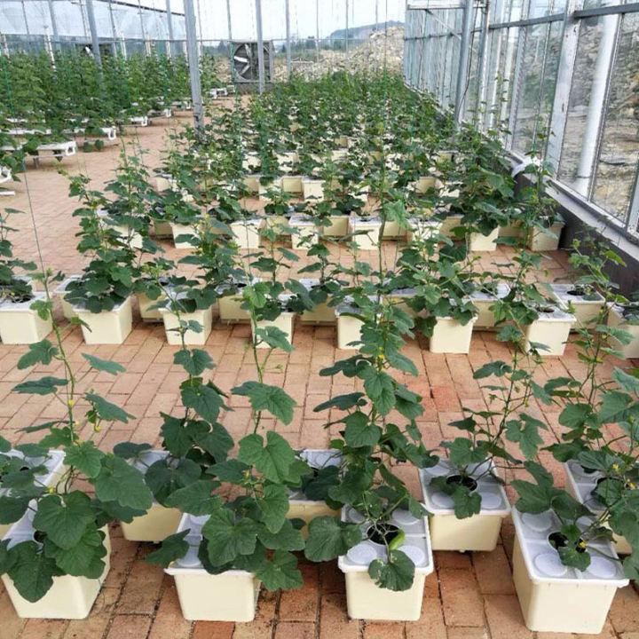Dutch Flower Bucket Plant Pot Hydroponic Dutch Bucket System With Hydroponics For Turnkey Project Green House Factory Pricing Supply
