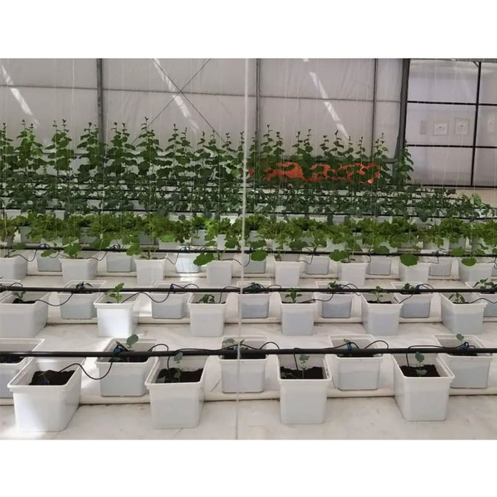 Fodder System Hydroponic Net Pot Pp Material Dutch Bucket Hydroponic System Vertical Hydroponic System Tomato Barrels