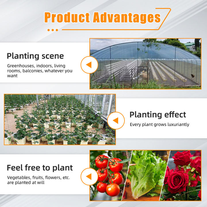 Fodder System Hydroponic Net Pot Pp Material Dutch Bucket Hydroponic System Vertical Hydroponic System Tomato Barrels