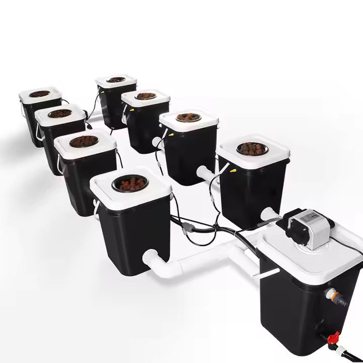 From China Indoor Irrigation Hydroponics Plants Equipment Barley Fodder Tray Deep Water Culture Hydroponics Grow System Quality Manufacturing Innovation